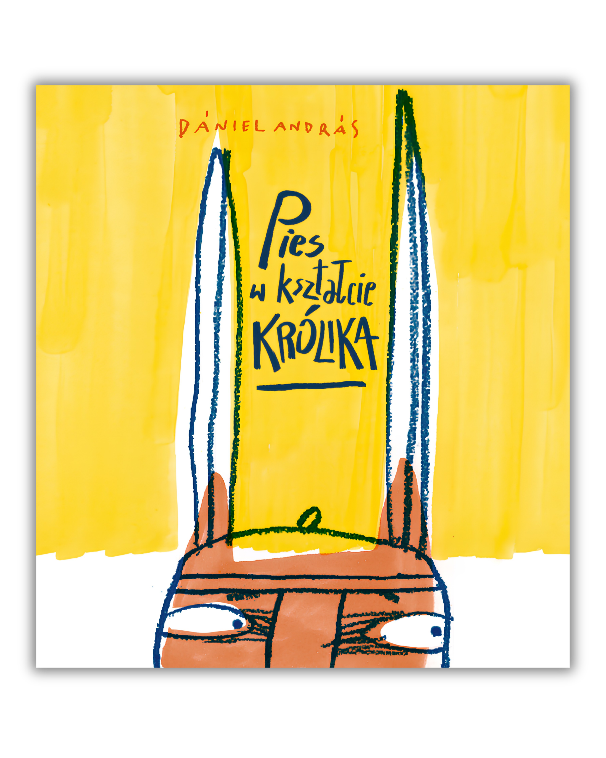 Pies w kształcie królika